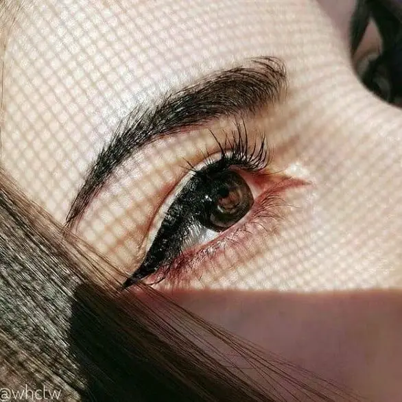 unique eye catching nature dp for whatsapp
